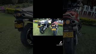 GSR 600 Suzuki A TOPE!!Que delicia 🔊🥰 (Escuchalo con audífonos)