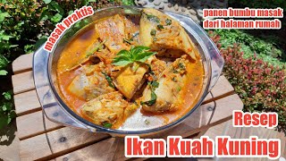 IKAN KUAH KUNING SULAWESI | Cook eps.9