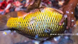 Amazing Fish Cutting Style | my3Streetfood