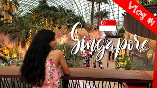 Changi Airport, Little India, Gardens by the Bay | Singapore travel vlog #1