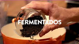 LOV Ferments. Creamos bebidas del futuro siguiendo recetas del pasado