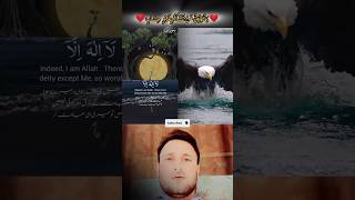 Beautiful Quran Recitation | Heart soothing Tilawat #tilawat #viral #trendingvideo #quranrecitations