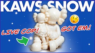 LIVE COP!  Snowy White Kaws Holiday Changbai Mountain in DDTStore (2022) Kaws Separated Part 2