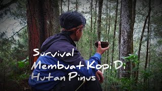 Memasak di hutan pinus yang indah ( survival tips )