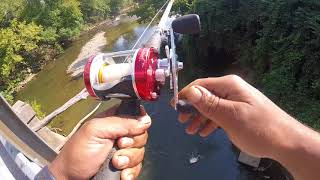 creek fishing for bait (suprising catch)