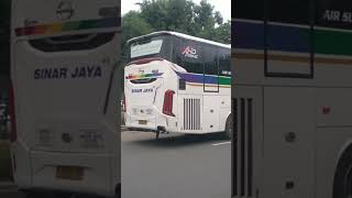 Bis SINAR JAYA Legacy SR 3 #fyp #videoshort #bismaniacommunity