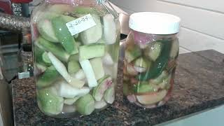 Fermenting Salt-Brine Pickle - Lacto-Culture - SEE DESCRIPTION FOR MORE INFO | Thanks for watching!