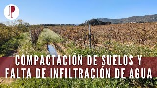 Compactación de suelos y falta de infiltración de agua