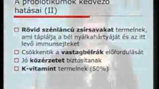 A Forever Probiotic szerepe életünkben/2