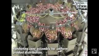 Parsons-Eagle CP14 Scale and Infinity Vertical/Form/Fill/Seal Machine 1016 running Wrapped Candy