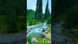 Beautiful fountain #shorts #youtubeshorts #viral #viralvideo