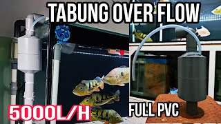 Instal dan Test ! Tabung Over flow Pvc 5000l/h || Setup Sump filter tanpa Melubangi kaca Aquarium.