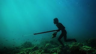 潛伏在中國最南部海域的深海獵人|Deep sea hunters lurking in the most southern waters of China