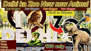 Delhi ka Zoo Ab se Only ₹80 Rs | full tour 2024 | 20+ Animal in Zoo | Chidiya gar Delhi | full video