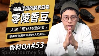 【香料QA#53】零陵香豆｜能取代香草莢的神祕香料｜20世紀才被發現的禁忌滋味｜零陵香豆不是有毒嗎！？｜味旅Spices Journey