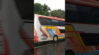 Bis ROSALIA INDAH jetbus 3 berangkat menuju kota madiun #bismaniacommunity #videoshort