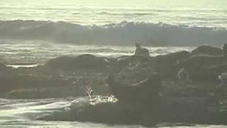 Children's Pool, near La Jolla Cove