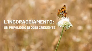 L'incoraggiamento: un privilegio di ogni credente (audio)