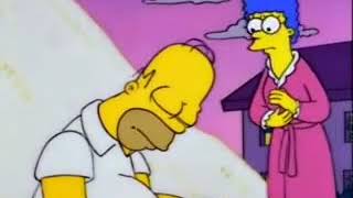 Homero se duerme y dice estupideces