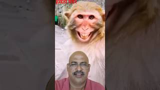 हसता बंदर 🐒🐵Laffing monkey  #shorts #ytshorts #Vipul #comedy #youtubeshorts #monkey #animals