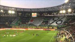 Pyro & Choreo - Hannover vs. Gladbach 15.04.16 (120 Jahre Hannover 96)