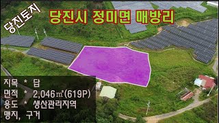 [딸기318]충남 당진시 정미면 매방리 619평토지매매. 딸기공인중개사 041.662.0880