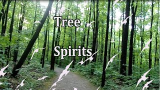 Tree Spirits of the Forest and Woodland Groves.