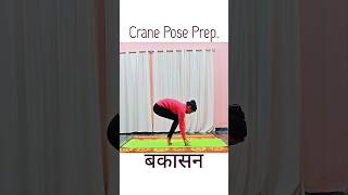 Crane Pose Prep  #shorts #yoga