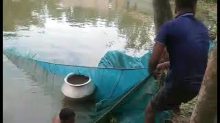 Jal fishing video