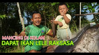 Mancing Ikan Lele Besar di Kolam