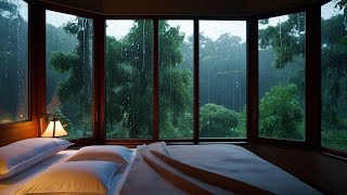 Soothing Rain Window Make You Sleep Instantly Goodbye to Stress and Insomnia