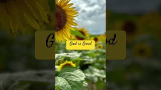 Happy Friday❤️🌻 God is Good. #godisgood #nevergiveup #jesuswins #nottodaysatan #shorts #joy