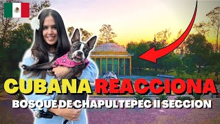 CUBANA REACCIONA | BOSQUE DE CHAPULTEPEC II SECCION 🇲🇽