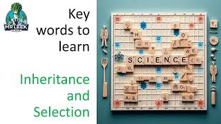 Inheritance and selection key definitions video