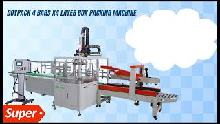 Case Packing Machine for Doybags