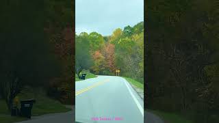 Ohio Drive / Fall Season Scenery #fall #fallseason #scenery #ohio #shortvideo