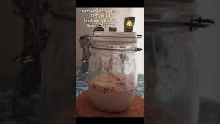 Sourdough Starter Rise #sourdough #riseup #starter #timelapse #timelapsevideo