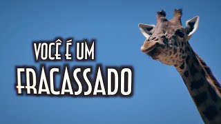 Você é um fracassado - Emerson Martins Video Blog 2023