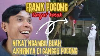 NEKAD MENGAMBIL BUAH DI POHON AKHIRNYA DI GANGGU POCONG #REACT FRANK POCONG