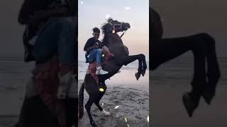 rohit zinjuker horse tik tok💥🐎💦 || Rohit zinjuker horse video || rohit zinjuker horse riding