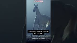 Sulla strada infinita che si perde nell'orizzonte #animali #aforismi #frasedelgiorno #cavalli