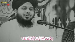 Bagh Me Hazor Pak ﷺ Bethey Thy ? #peerajmalrazaqadri #islamicedits #islamicedits