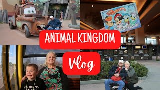 Animal Kingdom vlog | Disney's Skyliner | Topolino's character breakfast | Wheelchair accessibility