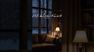 اقا علیہ الصلاۃ والسلام کے چہرہ مبارک پر نقاہت کے اثار اتنے واضح تھی کہ 💯✌#islamicstatus #youtubesho