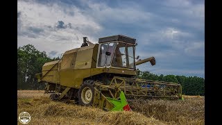 Dreschen 2017 // Zwei Fortschritt E512 im Weizen