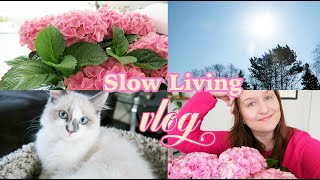 Slow Living Vlog | Maria Medeiros