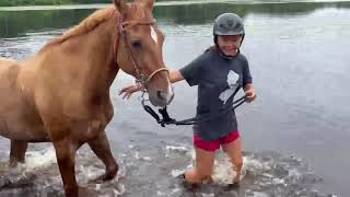 Liv & Diamond Enjoying A Summer a swim