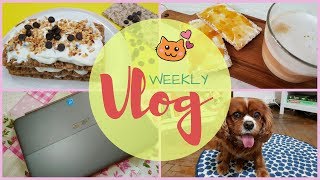 ★ NUOVO COMPUTER, BICI IN PERICOLO E DOLCI COLAZIONI! - VLOG ★ | Weekly Vlogs