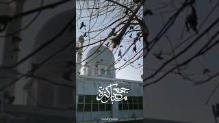 💚New Jumma mubarak WhatsApp Status Video❤️ #jumma#islamic#malayalam#kerala #New_Jumua_status_video💚