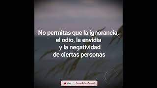 No permitas que la ignorancia, el odio, la envidia y la negatividad de ciertas personas, detengan...